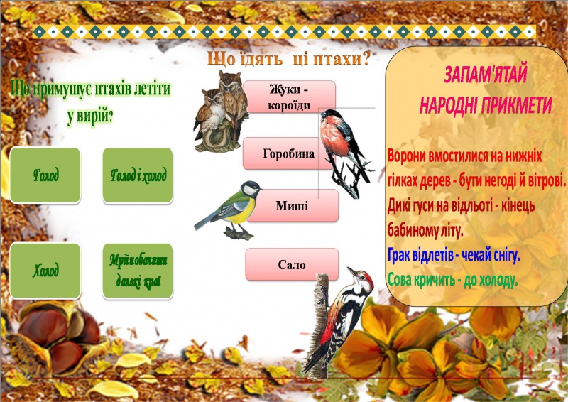 Файл:Rtyu456le.jpg