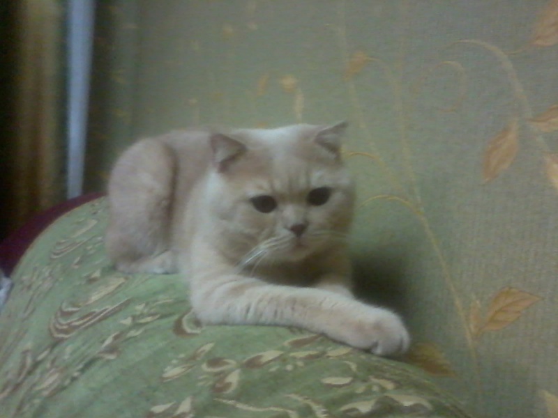 Файл:2013-03-08 19.19.32.jpg