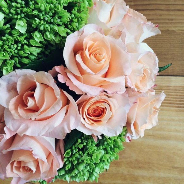 Файл:Tumblr myy8a5WPnh1qan9y0o1 1280.jpg