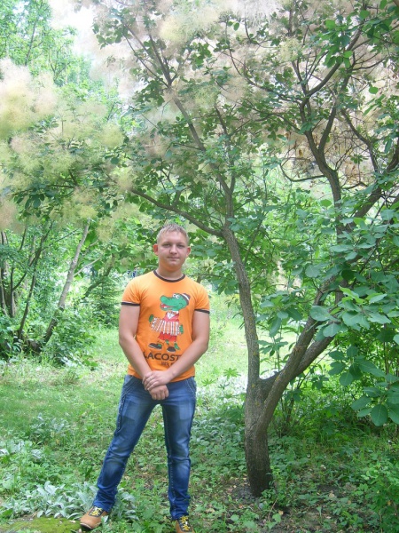 Файл:Yp2mlzWVr o241411111.jpg